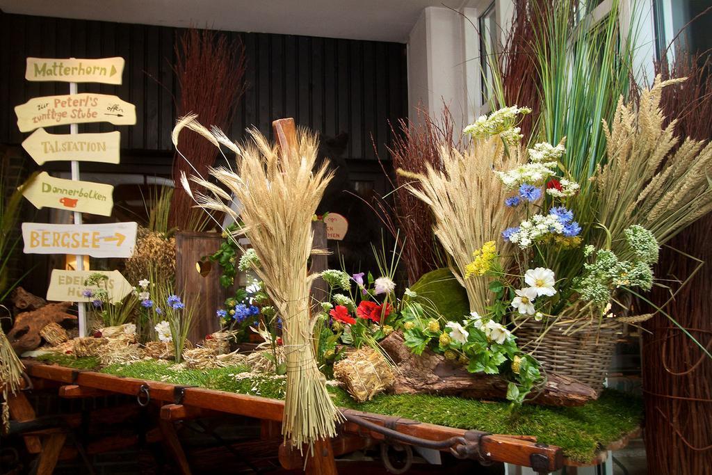 Hotel Rheinterrasse Benrath دوسلدورف المظهر الخارجي الصورة